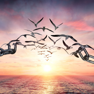 L'approche personnalisée de cet accompagnement