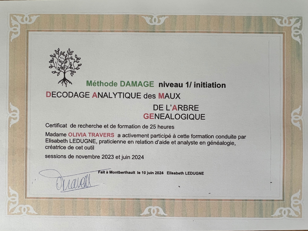 Le Décodage Analytique des Maux de l'Arbre Généalogique (DAMAGE)