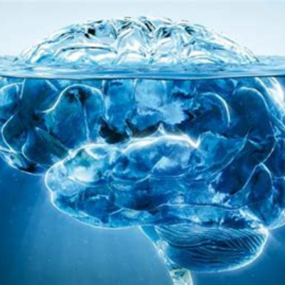 Comment les mémoires émotionnelles inconscientes influencent notre vie