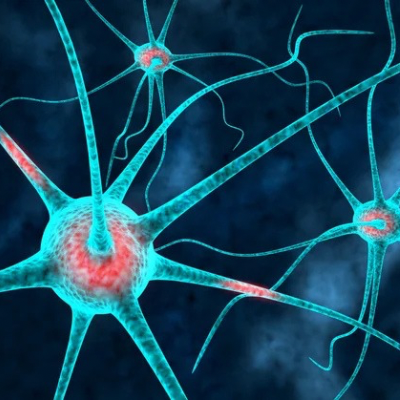 Qu'est-ce que la neuroplasticité?